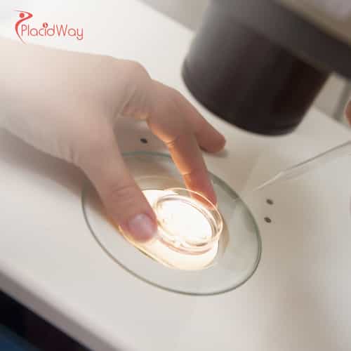 IVF with Egg Donation in Thailand: Affordable Fertility Solutions for Australian Couples